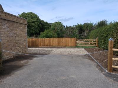 Picture 8